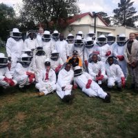 Easy Buzzing Bee Course - Beginner -   1st March 2025