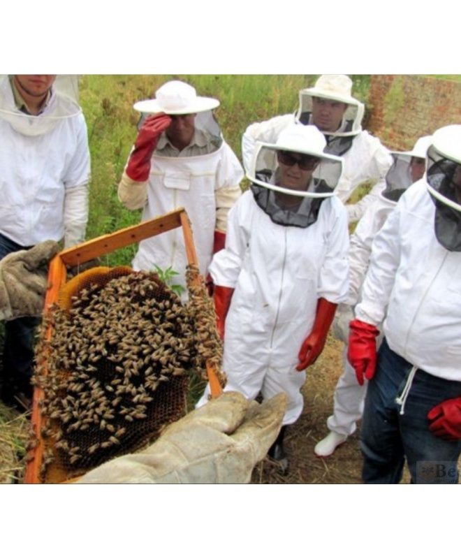 Intermediate Beekeeping Course – Bee Ware Cape Town